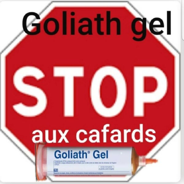 Vente de Goliath Gel